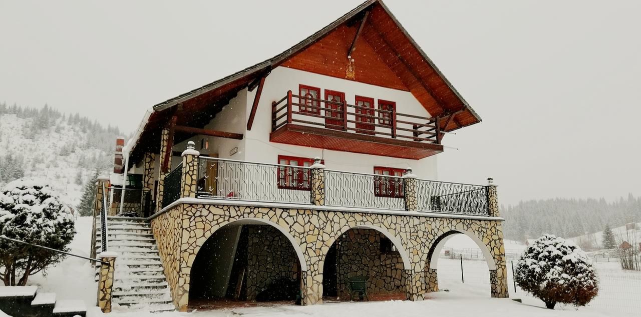 Дома для отпуска Serenity Villa Şaru Dornei-36