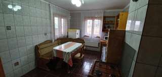 Дома для отпуска Serenity Villa Şaru Dornei Дом с 4 спальнями-42